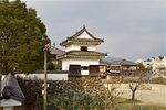 Ozu48.jpg