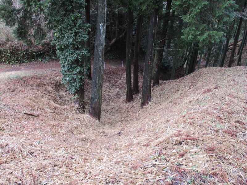 File:TohtoumiYokochijouA (9).jpg