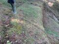 Thumbnail for version as of 09:04, 4 December 2024