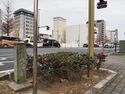 Hamamatsu44.jpg