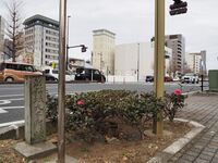Hamamatsu44.jpg