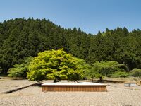 Ichijodani-fukugentown36.jpg