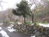 JunhanshiYashiki (7).JPG