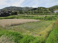 NagasawaYadahimeYashiki.jpg