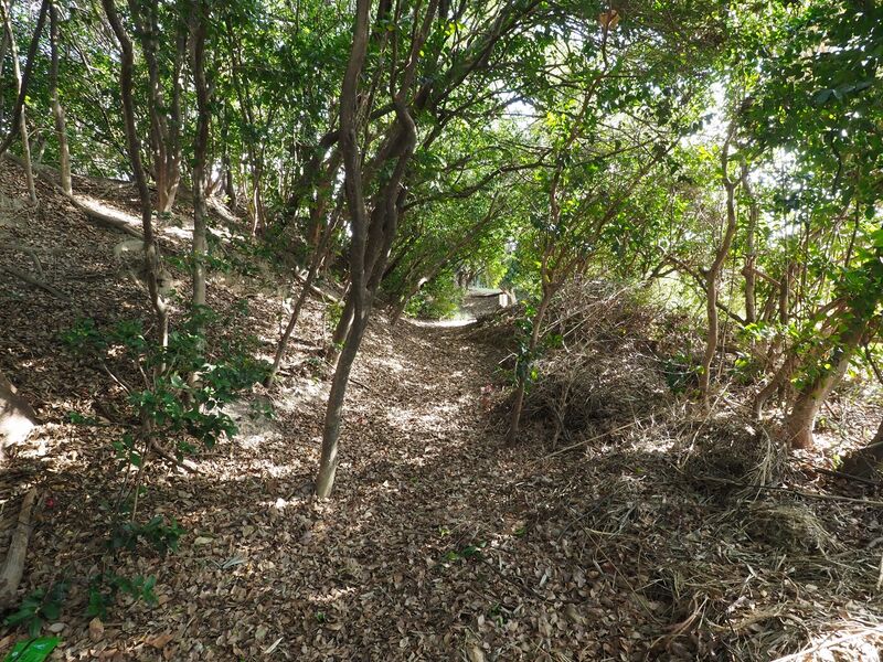 File:Odaka14.jpg
