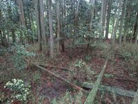 OumiTakanojou04.5.JPG