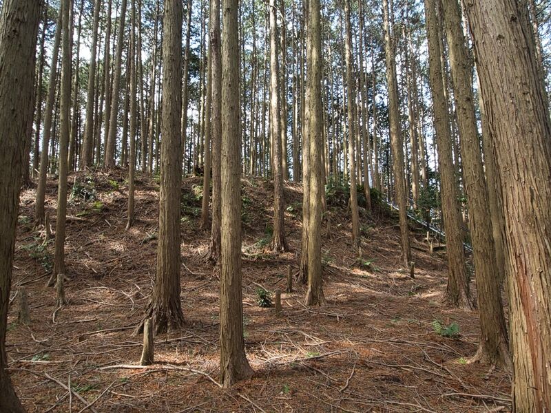 File:Shigisan20.jpg