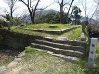 Tokushima6.jpg