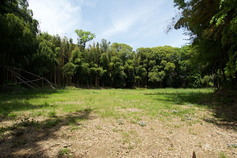 File:Ushiku12.jpg
