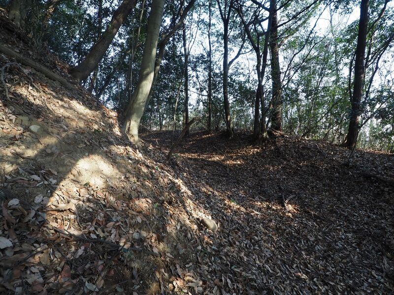 File:Yamana28.jpg