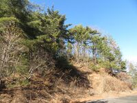 大池村山城02.JPG