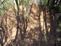 AzumiNishimakijou (30).JPG