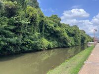 Himejimiddlemoat12.jpg