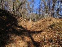 IMG 4867.JPG