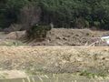 Thumbnail for version as of 12:16, 5 May 2020