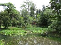 KanazawajouTsudatei08.JPG