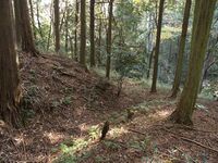 Koideyakatakyoto24.jpg