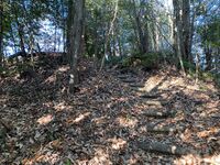 MikawaHimegajouGlenn (1).jpg