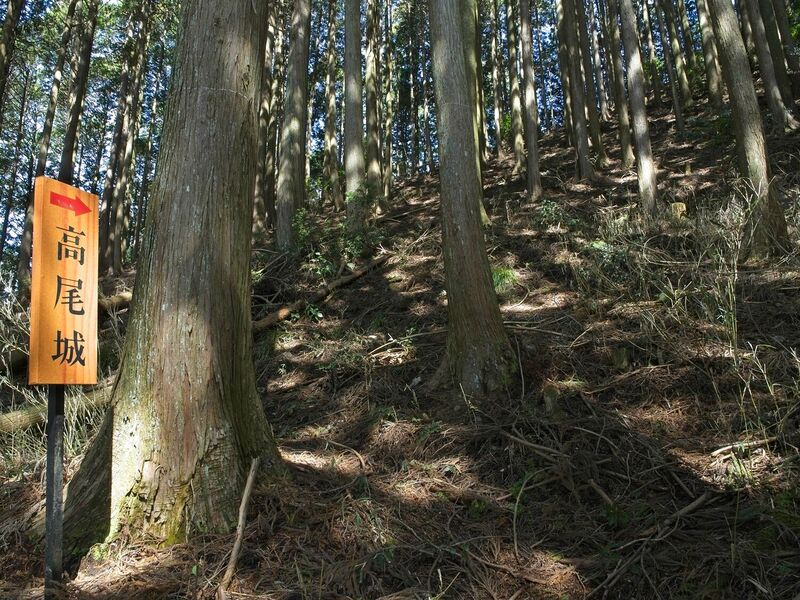 File:Takaokoka1.jpg