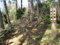 Thumbnail for version as of 14:49, 19 May 2025