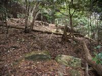 Tsubokasayama5.jpg