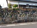 Hagiwalls6.jpg