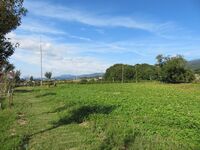 KitaKumai (43).JPG