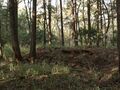 Thumbnail for version as of 08:35, 1 September 2024