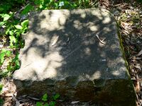 Nagahara Goten Ray 4.jpg