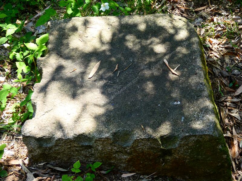 File:Nagahara Goten Ray 4.jpg