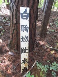 Shirokomajou (11).JPG