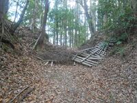 SomaNakamura (1).JPG