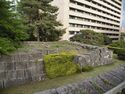 Fukui30.jpg