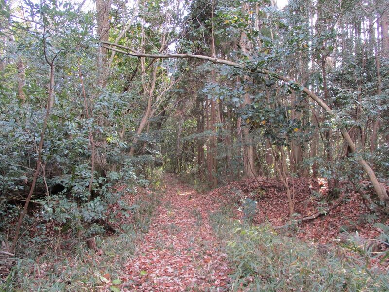 File:Hobonishijou013.jpg
