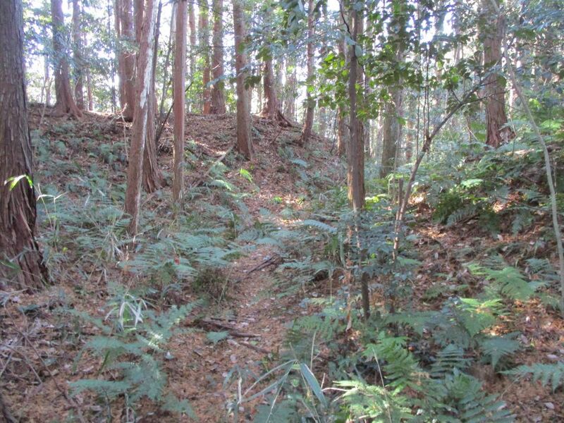 File:Hobonishijou024.jpg