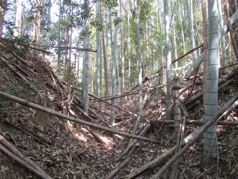 File:MikawaIwakuraYakata (1).jpg