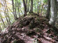 Omijou (16).JPG