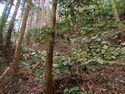 Takatori152.jpg