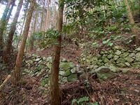 Takatori152.jpg