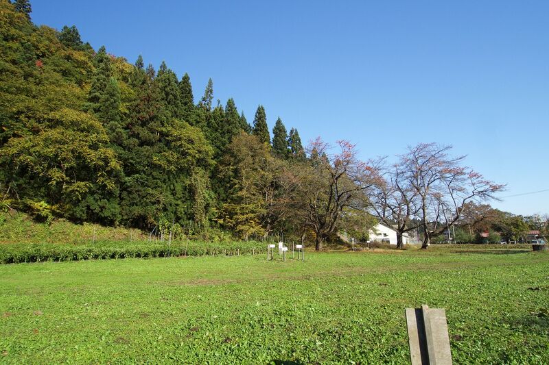File:Tateyama yamagata5.jpg