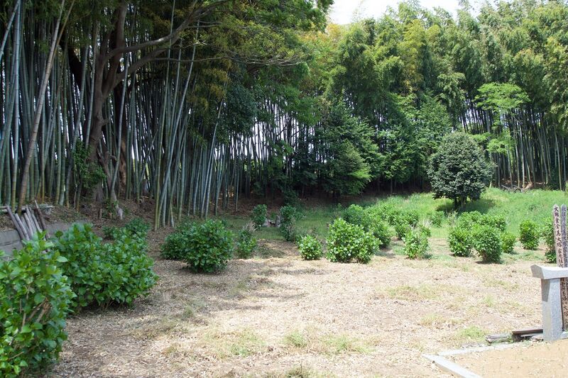 File:Torinji5.jpg
