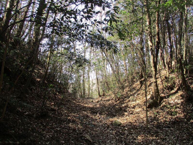 File:Daitajou (5).jpg