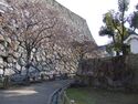 Himeji117.jpg