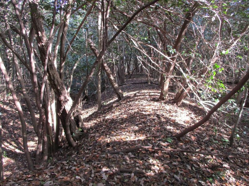 File:Hobonishijou007.jpg