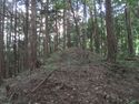 JikouinToride (1).JPG