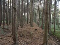 Koideyakatakyoto18.jpg