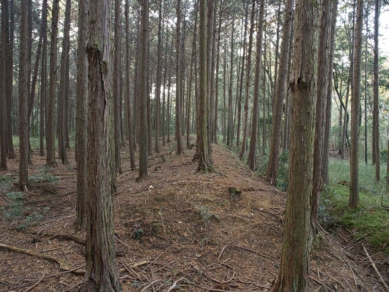 File:Koideyakatakyoto18.jpg