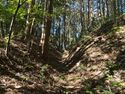 Kokashingushi30.jpg