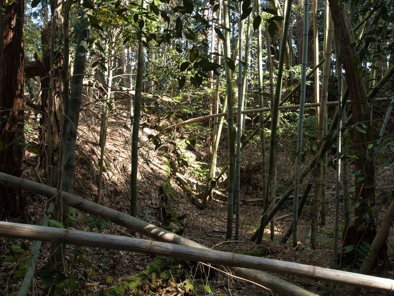 File:Maruokakoka5.jpg