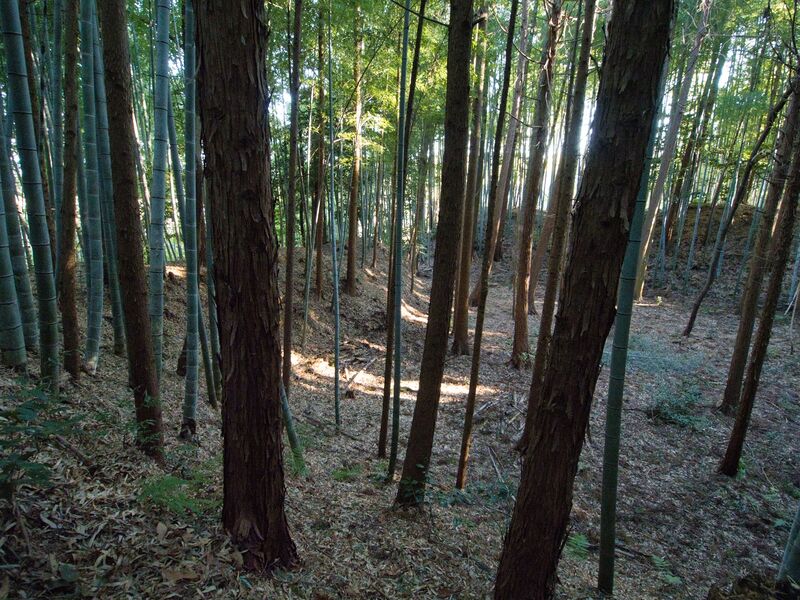 File:Mochizukikoka22.jpg